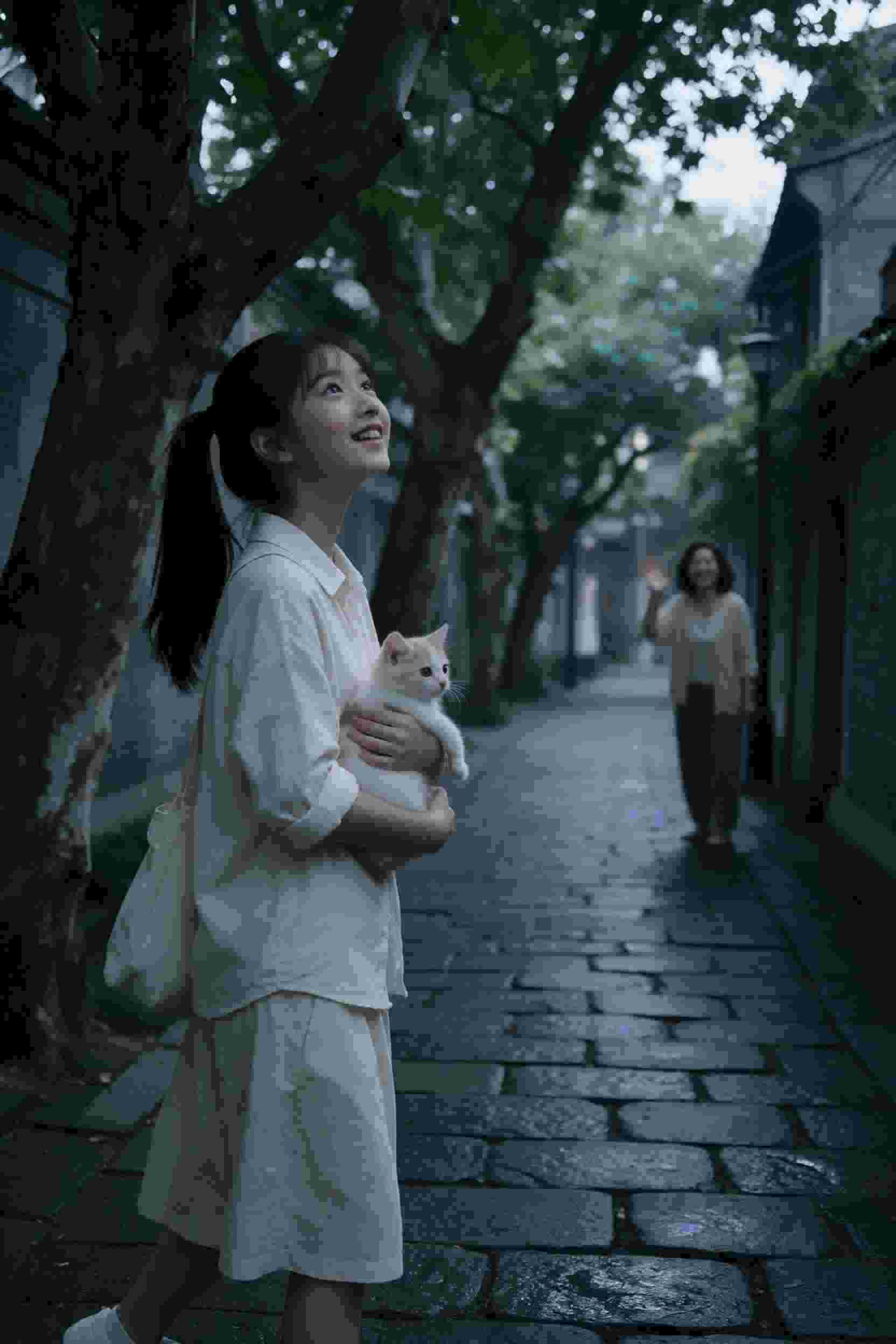 雨后的故事