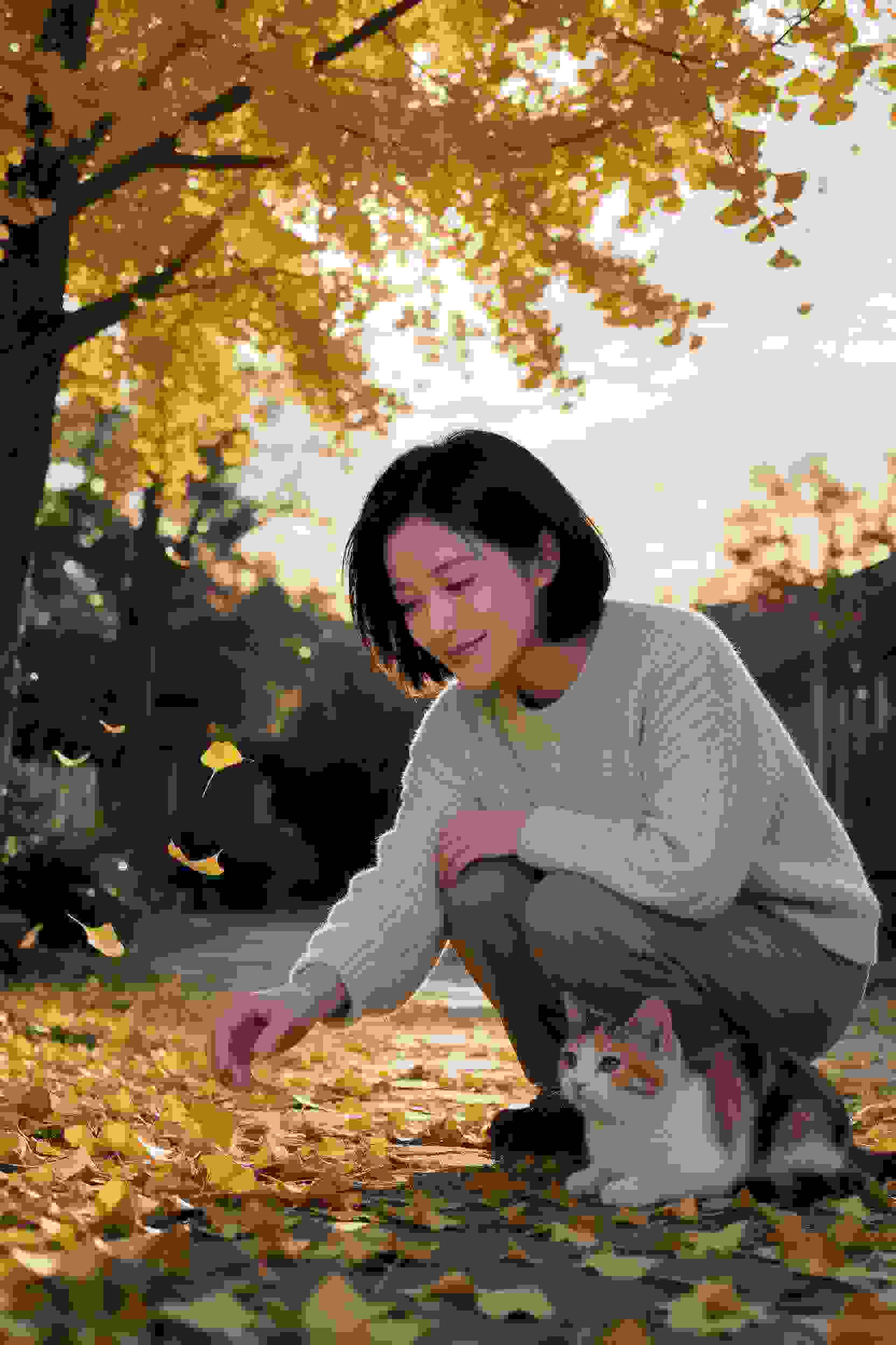 约定的梦幻岛